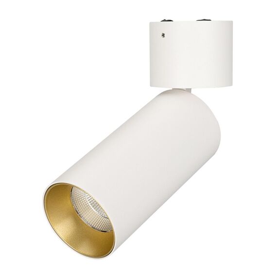 Arlight 027529 Светильник SP-POLO-SURFACE-FLAP-R65-8W Day4000 (WH-GD, 40 deg) (Arlight, IP20 Металл, 3 года) 027529, изображение 2