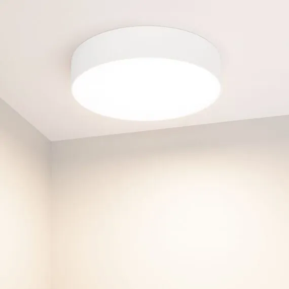 Arlight 022232(2) Светильник SP-RONDO-R250-30W Day4000 (WH, 120 deg, 230V) (Arlight, IP40 Металл, 3 года) 022232(2), изображение 3