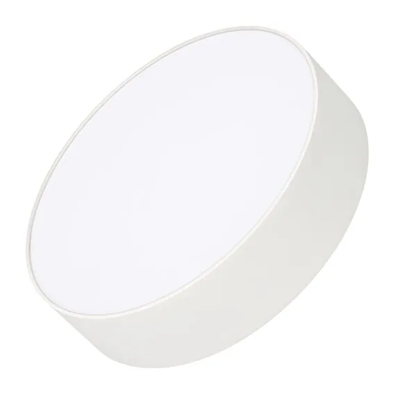 Arlight 022230(2) Светильник SP-RONDO-R210-20W Day4000 (WH, 120 deg, 230V) (Arlight, IP40 Металл, 3 года) 022230(2)