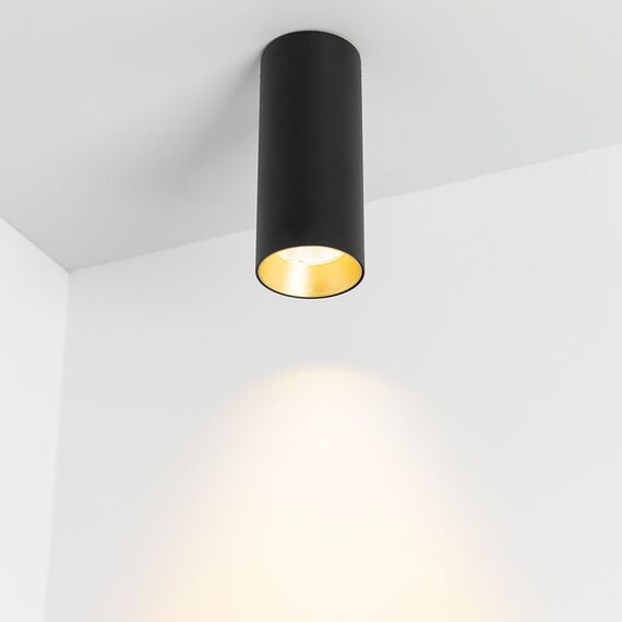 Arlight 027508 Светильник SP-POLO-SURFACE-R65-8W Warm3000 (BK-GD, 40 deg) (Arlight, IP20 Металл, 5 лет) 027508, изображение 4