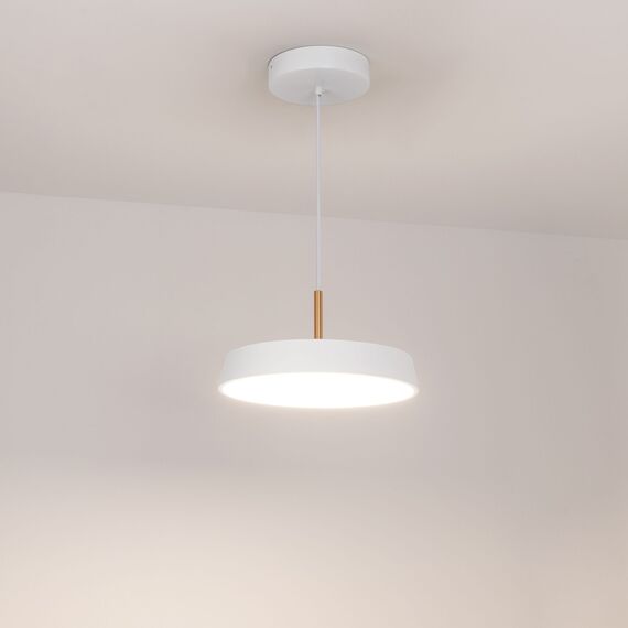 Arlight 033919(1) Светильник SP-ELEGANT-R300-17W Day4000 (WH, 120 deg, 230V) (Arlight, IP20 Металл, 3 года) 033919(1), изображение 4