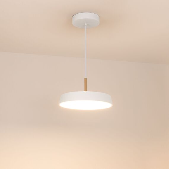 Arlight 033914(1) Светильник SP-ELEGANT-R300-17W Warm3000 (WH, 120 deg, 230V) (Arlight, IP20 Металл, 3 года) 033914(1), изображение 4