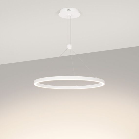 Arlight 046230 Светильник SP-CONGO-CAN-1-R600-36W Day4000 (WH, 120 deg, 230V) (Arlight, IP20 Металл, 5 лет) 046230, изображение 3