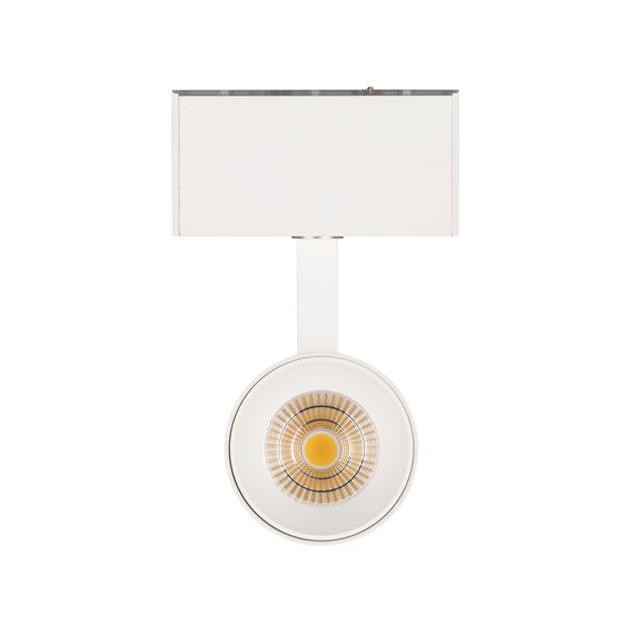 Arlight 033426 Светильник MAG-SPOT-45-R85-12W Warm3000 (WH, 36 deg, 24V) (Arlight, IP20 Металл, 3 года) 033426, изображение 3