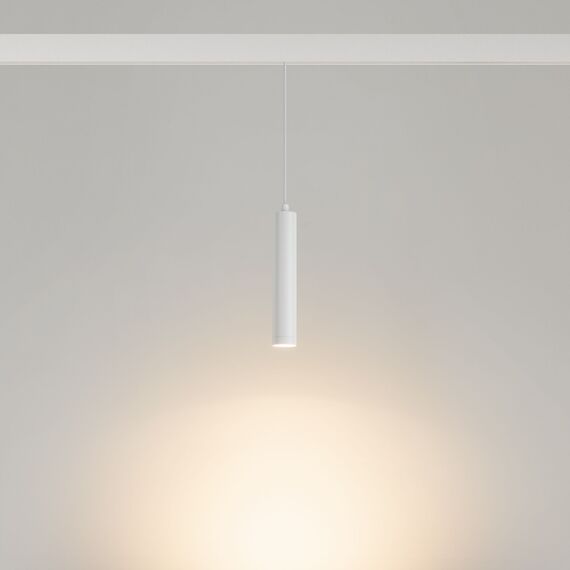Arlight 035830 Светильник MAG-ORIENT-SPOT-HANG-R45-12W Warm3000 (WH, 24 deg, 48V) (Arlight, IP20 Металл, 5 лет) 035830, изображение 3