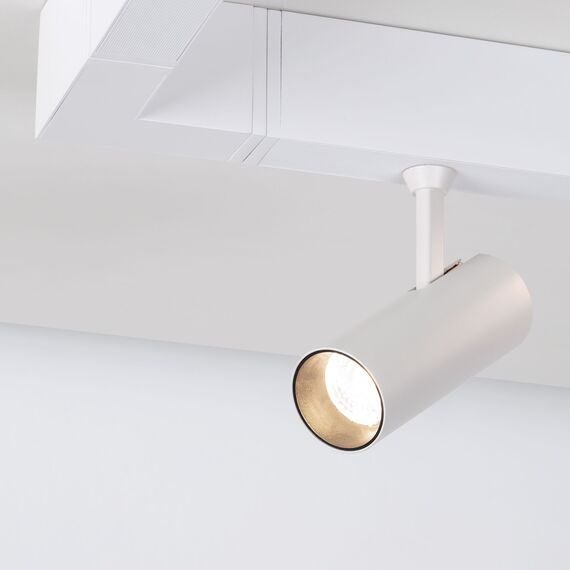 Arlight 028940 Светильник CLIP-38-SPOT-R146-6W Day4000 (WH, 24 deg, 24V) (Arlight, IP40 Металл, 3 года) 028940, изображение 6