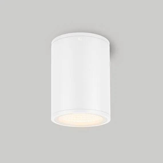 Arlight 037259 Светильник LGD-FORMA-SURFACE-R90-12W Day4000 (WH, 44 deg, 230V) (Arlight, IP54 Металл, 3 года) 037259, изображение 4