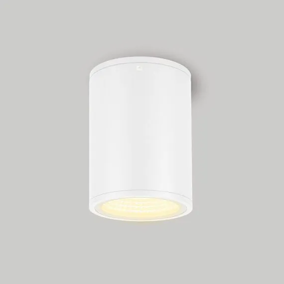 Arlight 037261 Светильник LGD-FORMA-SURFACE-R90-12W Warm3000 (WH, 44 deg, 230V) (Arlight, IP54 Металл, 3 года) 037261, изображение 3