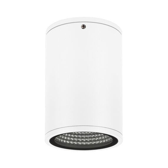 Arlight 037259 Светильник LGD-FORMA-SURFACE-R90-12W Day4000 (WH, 44 deg, 230V) (Arlight, IP54 Металл, 3 года) 037259