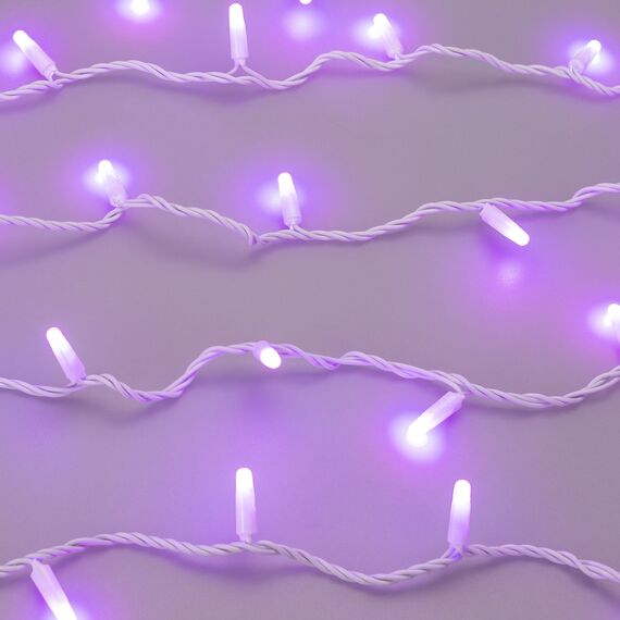 Arlight 028206 Светодиодная гирлянда ARD-STRING-CLASSIC-20000-WHITE-200LED-MILK-SYNC RGB (230V, 13W) (Ardecoled, IP65) 028206, изображение 12