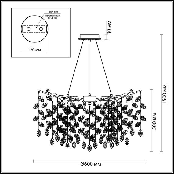 Odeon Light 4969/10; 1013236 Люстра, изображение 3
