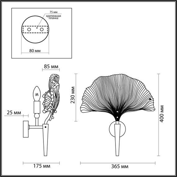 Odeon Light 4870/1W; 0044299 Настенный светильник, изображение 5
