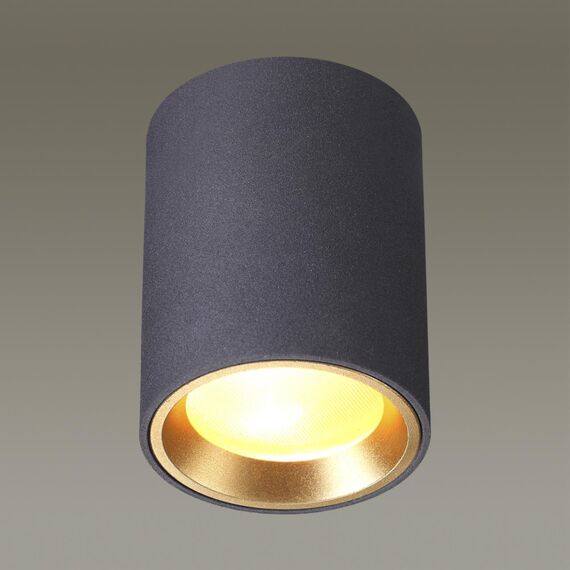 Odeon Light 4205/1C; 0042538 Потолочный светильник, изображение 2