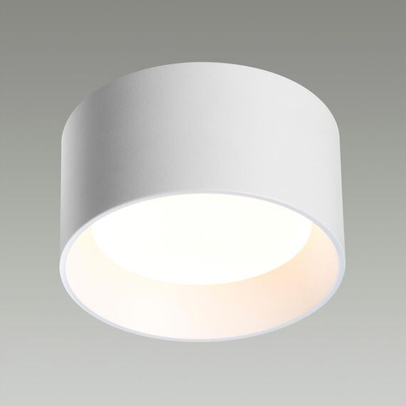 Odeon Light 6622/10CL; 0046173 Потолочный светильник, изображение 2