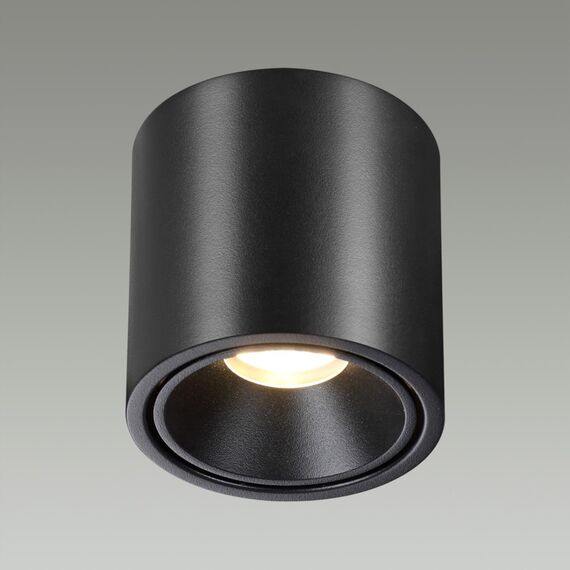 Odeon Light 6619/10CL; 0046170 Потолочный светильник, изображение 2