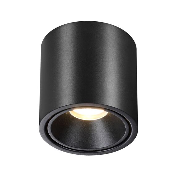 Odeon Light 6619/10CL; 0046170 Потолочный светильник