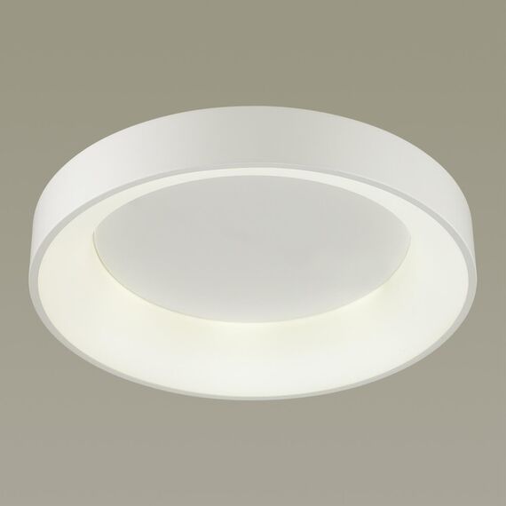 Odeon Light 4062/50CL; 0039248 Светильник потолочный, изображение 2