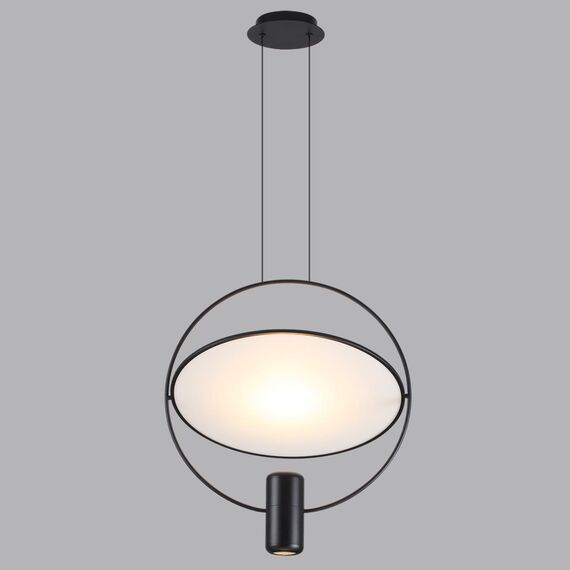 Odeon Light 7029/2L; 0047919 Подвесной, изображение 2