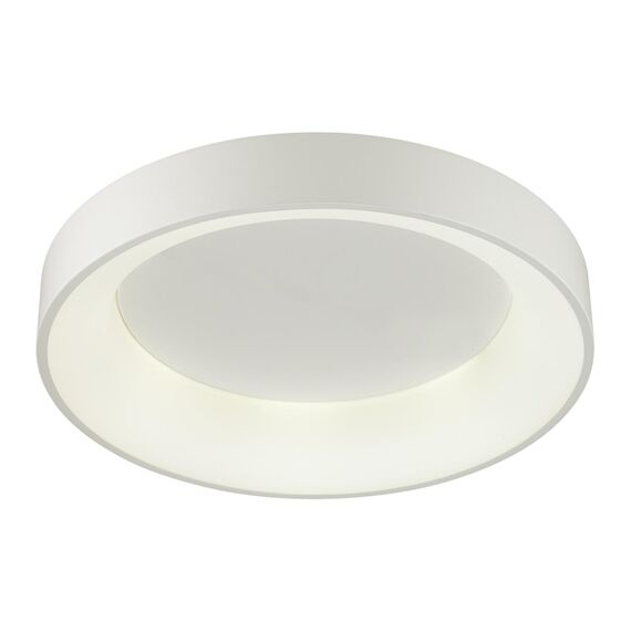 Odeon Light 4066/40CL; 0040700 Светильник потолочный