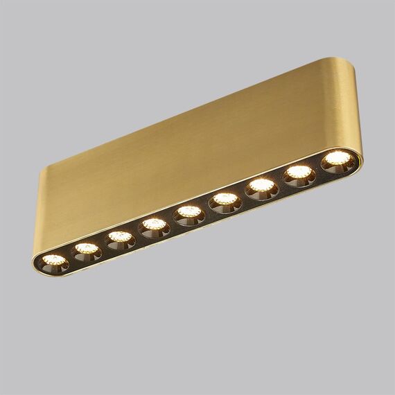 Odeon Light 7093/21CL; 0048289 Потолочный, изображение 2