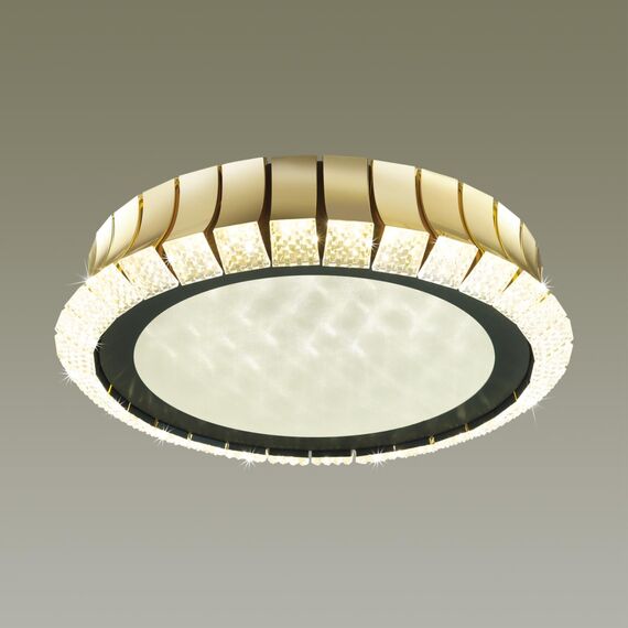 Odeon Light 4994/75L; 0045827 Люстра потолочная, изображение 2