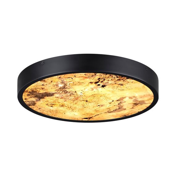 Odeon Light 5064/24L; 0047426 Настенно-потолочный светильник, изображение 2