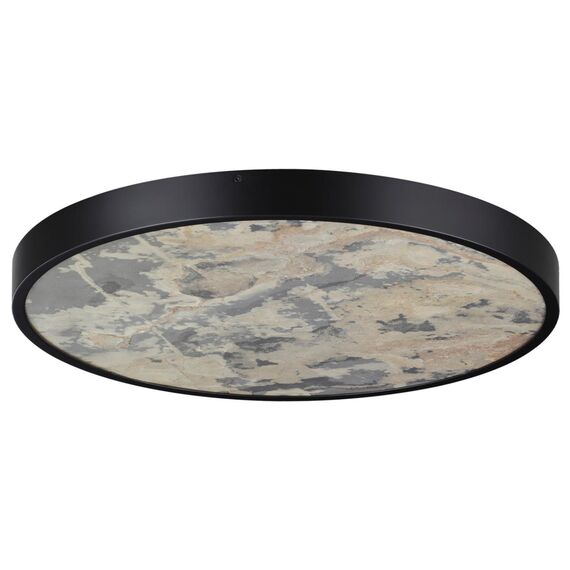 Odeon Light 5064/50L; 0047429 Настенно-потолочный светильник, изображение 3