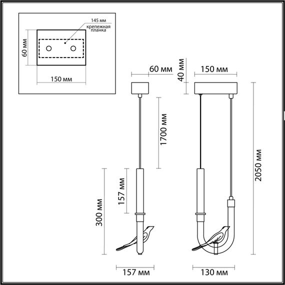 Odeon Light 5431/2L; 0048299 Подвес, изображение 3