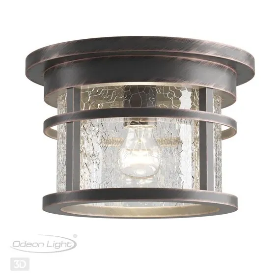 Odeon Light 4044/1C; 0038830 Уличный потолочный светильник, изображение 3