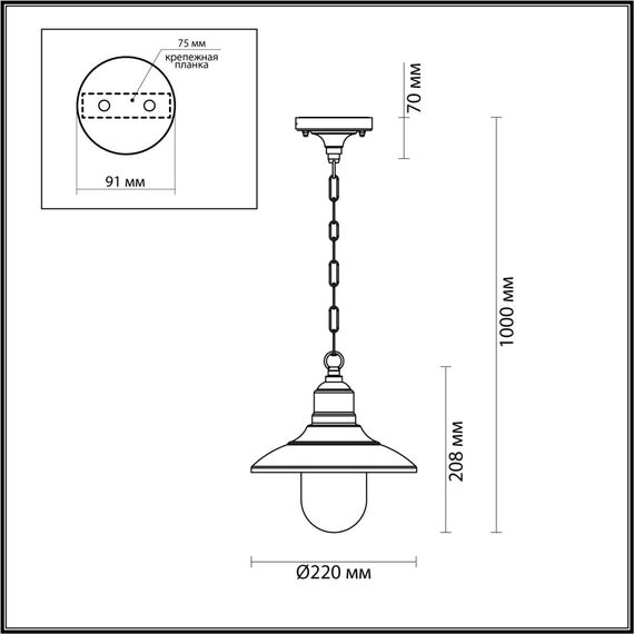 Odeon Light 4965/1; 0044565 Ландшафтный подвес, изображение 3