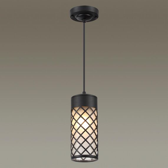 Odeon Light 4834/1; 0043720 Ландшафтный светильник-подвес, изображение 2