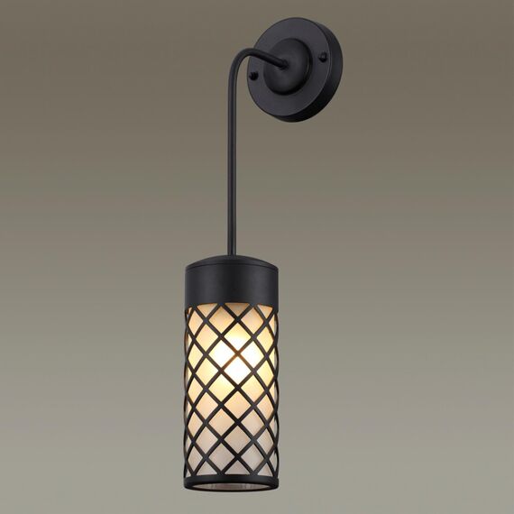 Odeon Light 4834/1W; 0043719 Ландшафтный настенный светильник, изображение 2