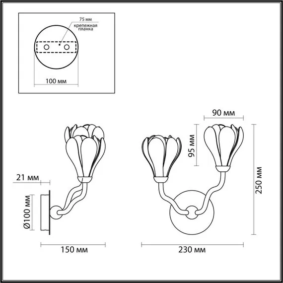 Odeon Light 5090/2W; 0048328 Бра, изображение 5