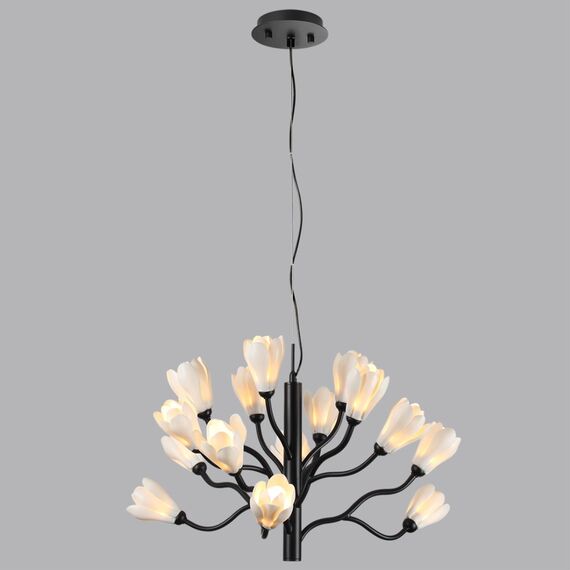Odeon Light 5090/15; 0048325 Люстра, изображение 2