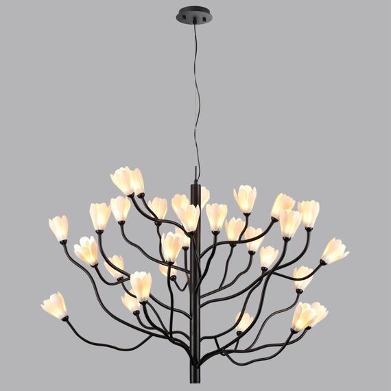 Odeon Light 5090/30; 0048327 Люстра, изображение 2