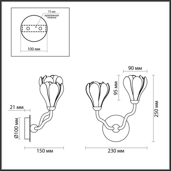 Odeon Light 5090/2W; 0048328 Бра, изображение 5