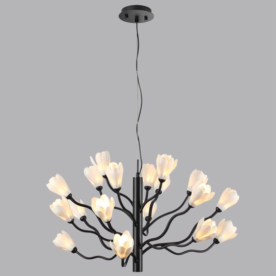 Odeon Light 5090/18; 0048326 Люстра, изображение 2