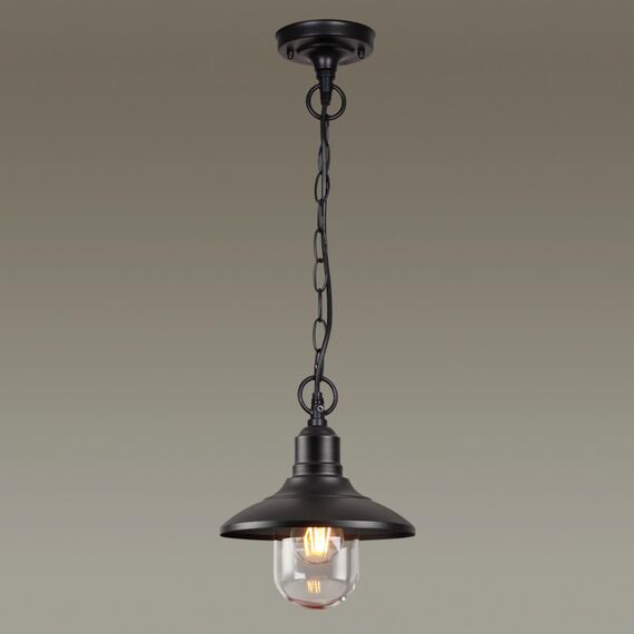 Odeon Light 4965/1; 0044565 Ландшафтный подвес, изображение 2