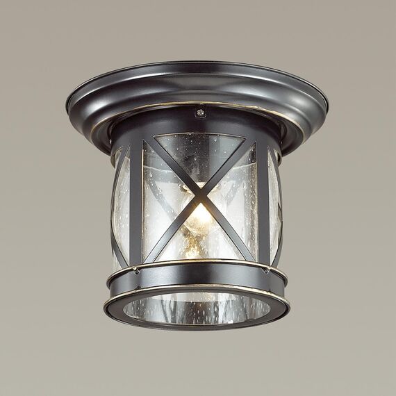 Odeon Light 4045/1C; 0038850 Уличный потолочный светильник, изображение 2
