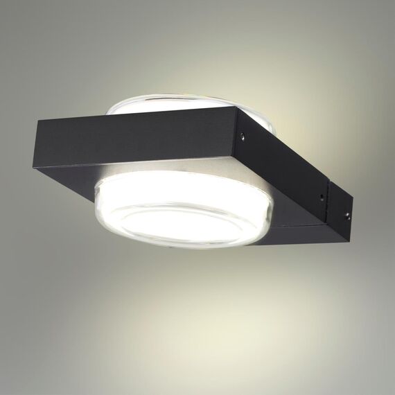 Odeon Light 6654/6WL; 0046268 Уличный настенный светильник, изображение 3