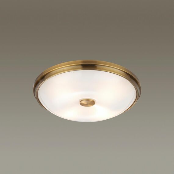 Odeon Light 4956/4; 0044891 Настенно-потолочный светильник, изображение 2
