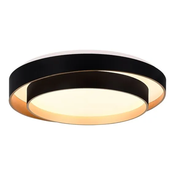 EVOLUCE SLE6009-402-01 Светильник потолочный Черный/Белый LED 1*50W 3000K/4000K/6000K, изображение 2