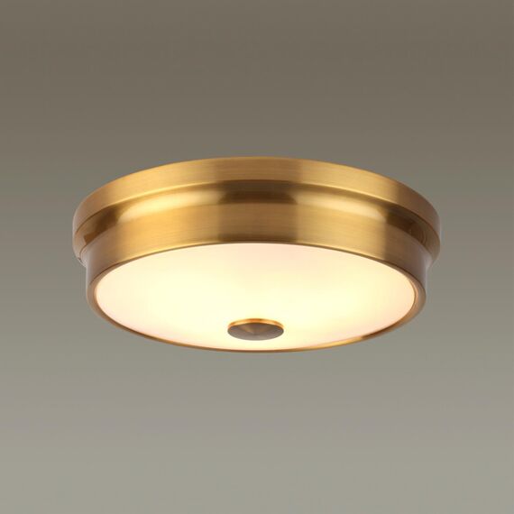 Odeon Light 4824/3C; 0043651 Настенно-потолочный светильник, изображение 2
