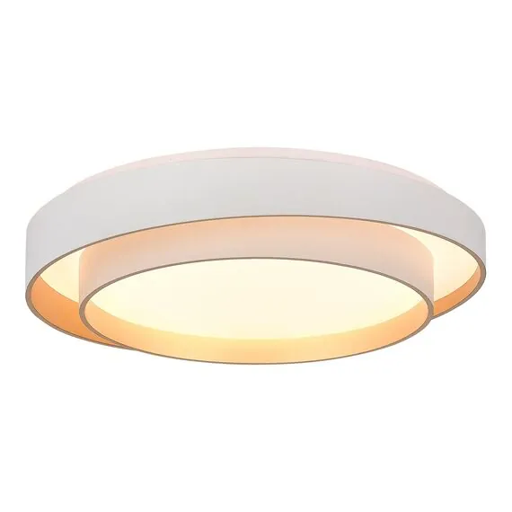 EVOLUCE SLE6009-502-01 Светильник потолочный Белый/Белый LED 1*50W 3000K/4000K/6000K, изображение 3