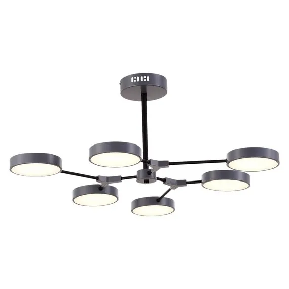 EVOLUCE SLE6003-702-06 Светильник потолочный Серый, Черный/Серый LED 6*10W