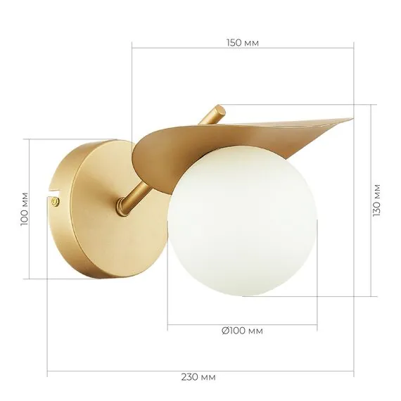 EVOLUCE SLE220501-01 Светильник настенный Золотистый/Белый G9 1*5W, изображение 3
