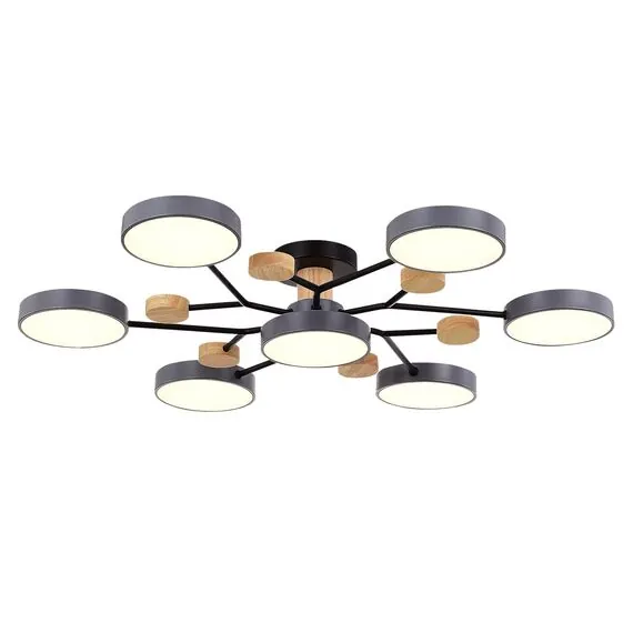 EVOLUCE SLE6006-702-07 Светильник потолочный Серый/Серый LED 7*12W 3000K/4500K/6000K, изображение 2