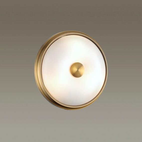 Odeon Light 4956/2; 0044889 Настенно-потолочный светильник, изображение 2