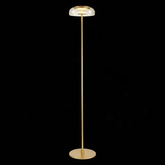 ST LUCE SL6002.205.01 Торшер ST-Luce Золотистый/Янтарный LED 1*7W 4000K, изображение 2