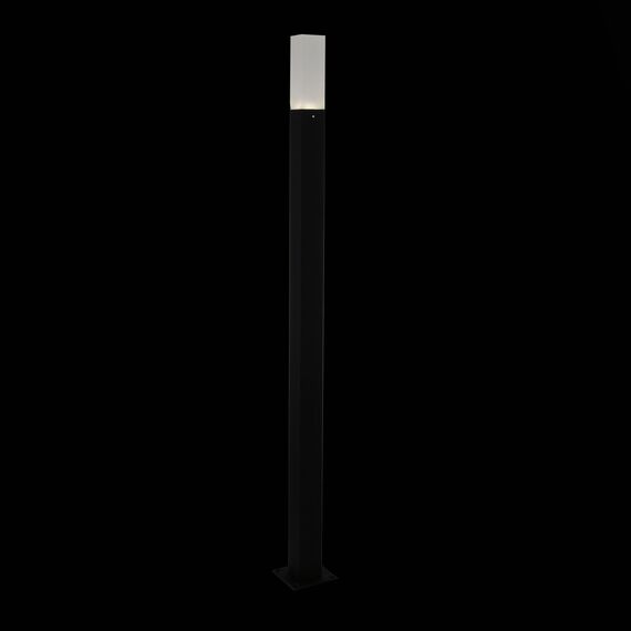 ST LUCE SL101.415.01 Светильник уличный наземный ST-Luce черный/Белый LED 1*3W 4000K, изображение 2